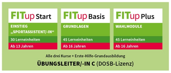 FITup Stufengrafik