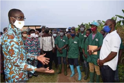 Impressionen Landwirtschaftsprojekt Togo